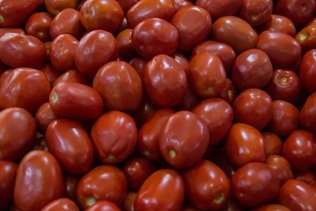 México y EU logran acuerdo sobre jitomate; se suspende ‘antidumping’