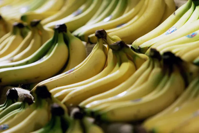 Hayan cocaína en supermercados