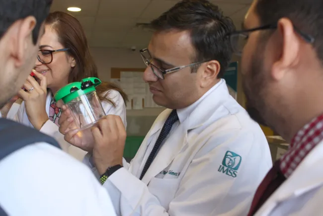 Capacitan a personal para atender picaduras de insectos