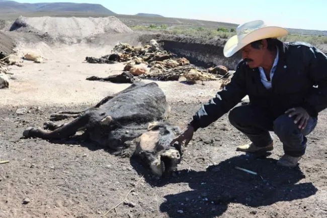 Tardan en Durango para solicitar declaratoria de emergencia