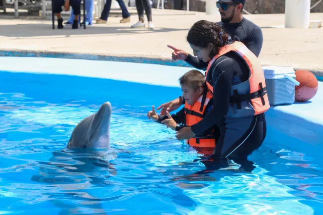 Aumentarán terapias asistidas