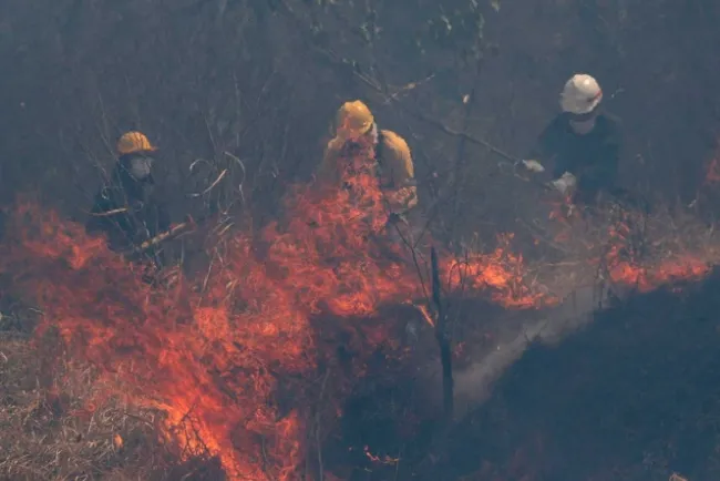 Envía Francia a Bolivia ayuda contra incendios en la Amazonia