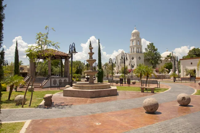 Seleccionan primeros Tesoros de Sonora