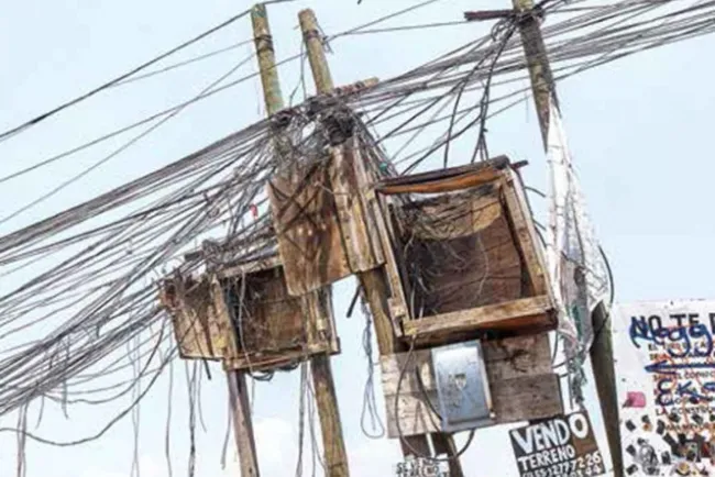 Ahora van contra los diablitos; en un año las pérdidas para CFE suman 59 mil mdp