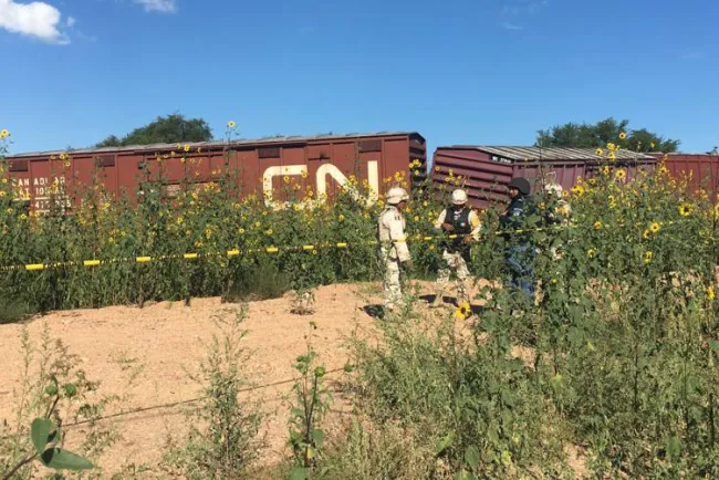 Descarrila tren en Nogales