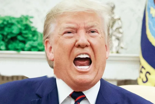 EU quiere ADN de migrantes; armarán base de datos