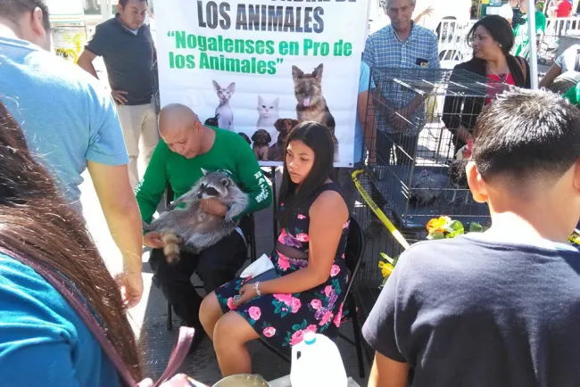 Disfrutan nogalenses de Domingos en la Obregón
