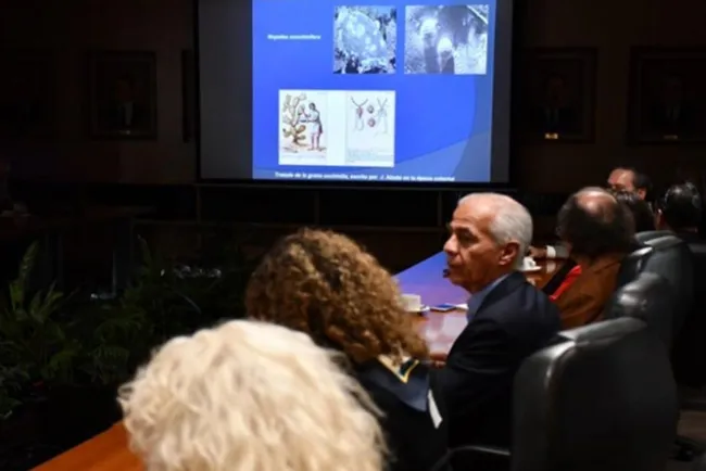 Tren Maya, para que turismo permanezca más tiempo en México