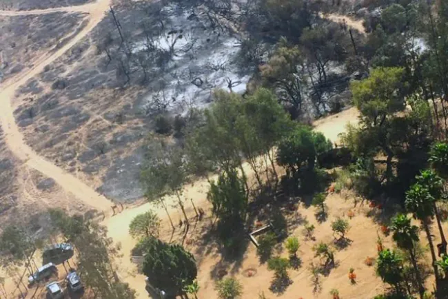 Controlan incendio en Tecate, pero resta el de Ensenada