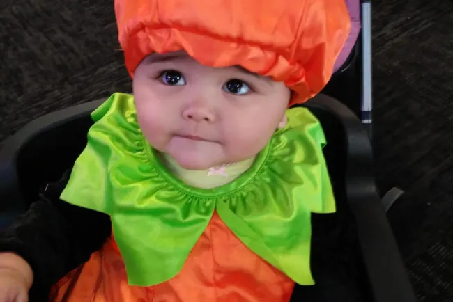 Dulce o truco por las calles de Nogales