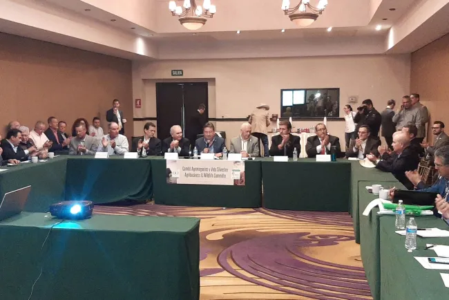 Sacrificarán ganado de Arizona en Sonora