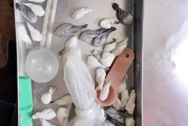 Rescatan a cuatro niñas en casa de narcomenudistas 