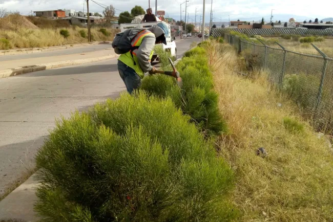 Imagen Urbana mantienen limpias las plazas