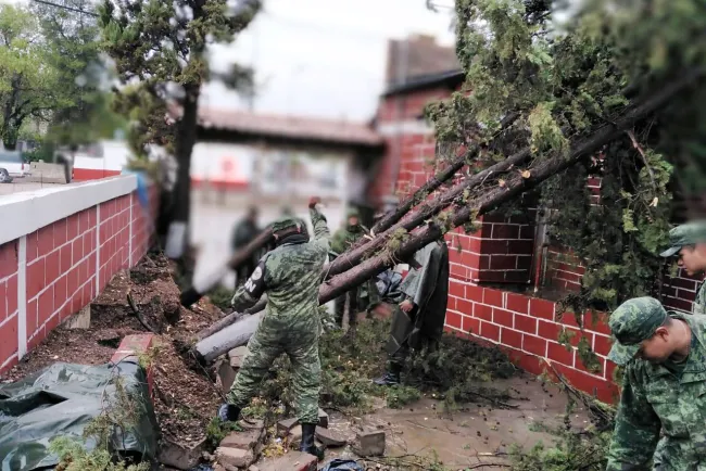 Causan lluvias graves daños