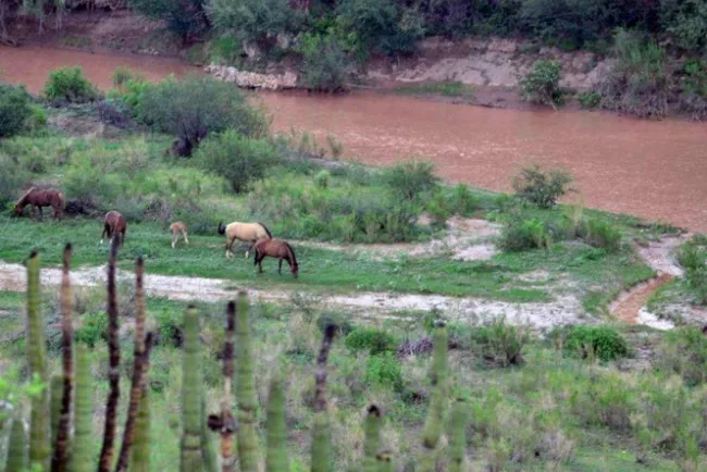 Debe Grupo México construir hospital en Sonora
