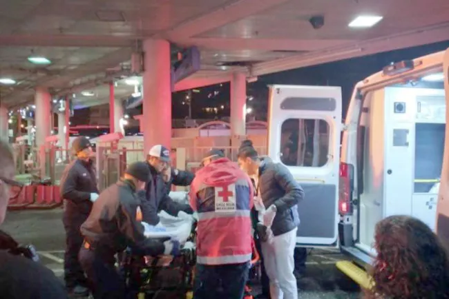 Grave niño atacado por perros