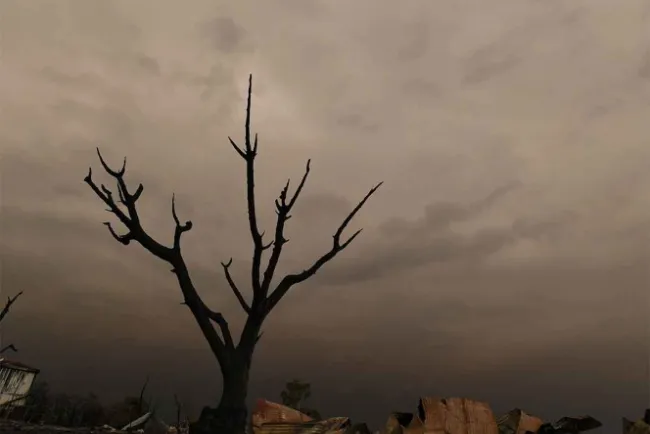 Asciende a 21 cifra de muertos por incendios en Australia