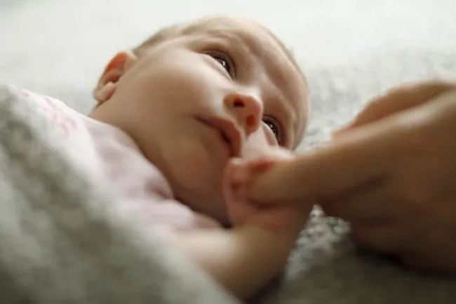 Recibe Arizona malas calificaciones