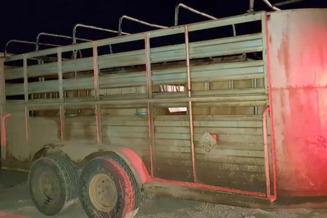 Descubren armas en vehículos abandonados