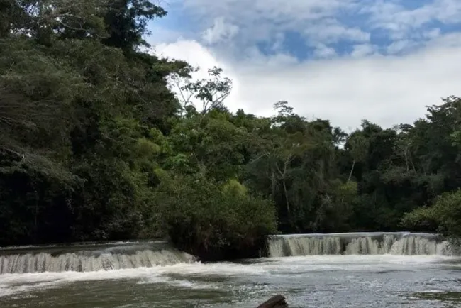 Llaman a proteger Biósfera en México