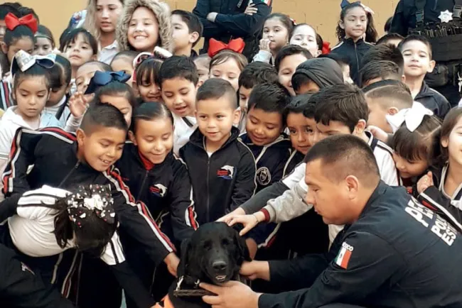 Es trabajo de prevención aliado