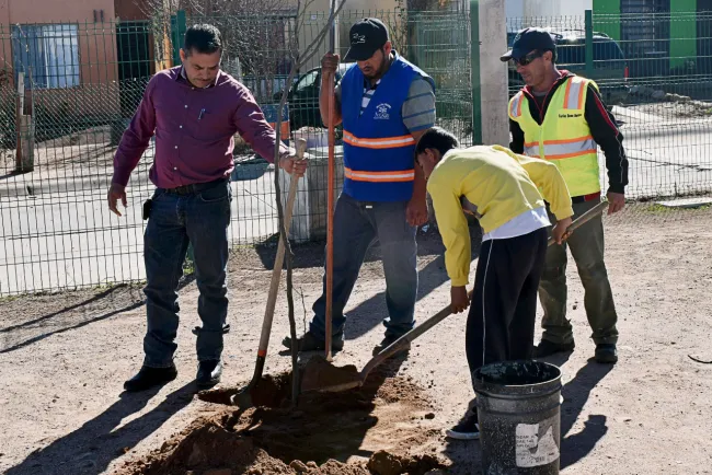 Realizan campaña de limpieza en La Mesa