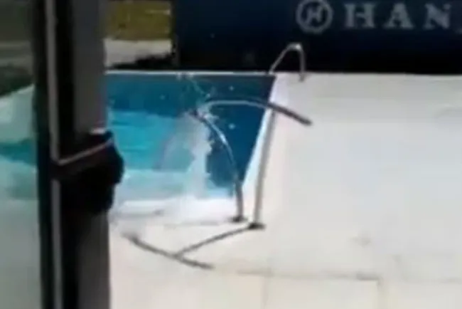 Fotos y videos del terremoto de 7.7 que sacudió Jamaica y Cuba