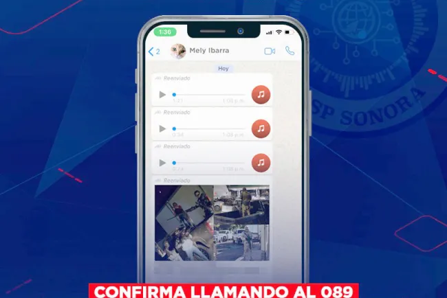 Exhortan a denunciar delitos cibernéticos