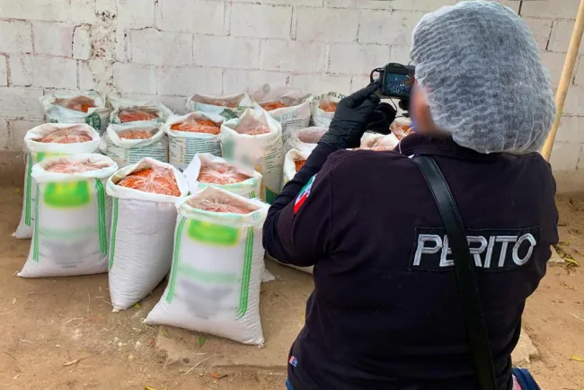 Recuperan 20 sacos de chiltepín robado 