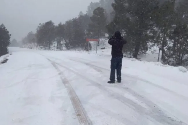 Alerta en Sonora, Chihuahua y Durango por caída de nieve