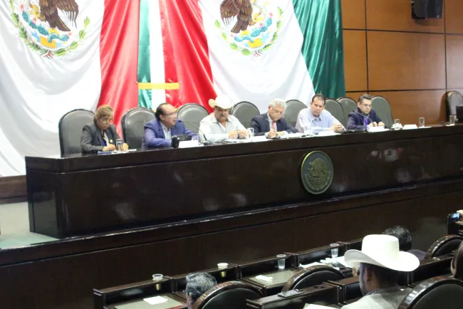 Requiere campo más apoyo