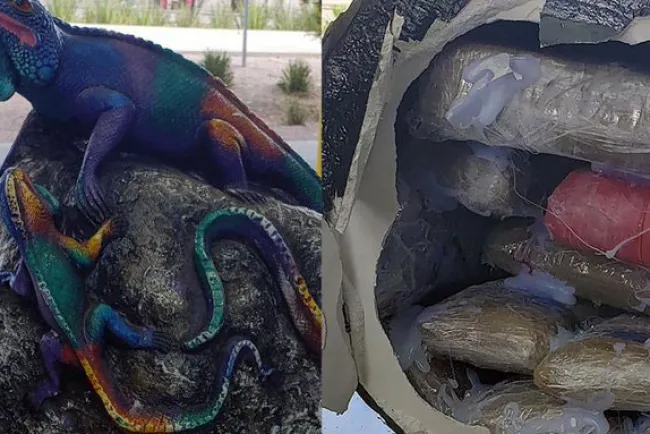 Incautan drogas por medio millón de dólares