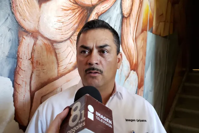 Reactivarán la reforestación