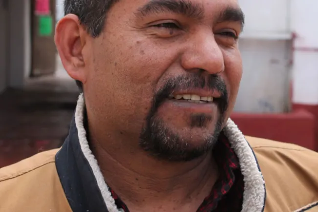 Avanza esterilización de mascotas