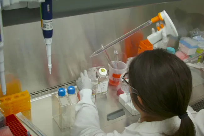 Monitorea Arizona Coronavirus