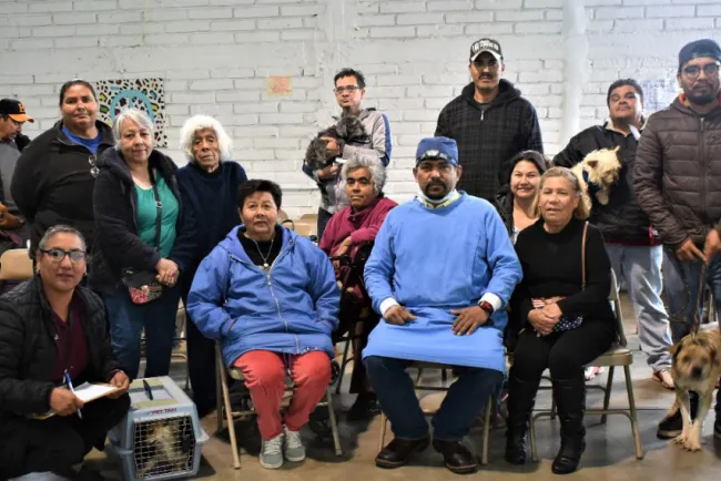 Intensifican campaña de esterilización de mascotas