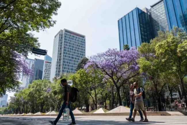 Distanciamiento social es insuficiente ante Covid-19: OMS