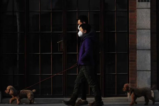 OPS solicita apoyo para combatir pandemia de COVID-19