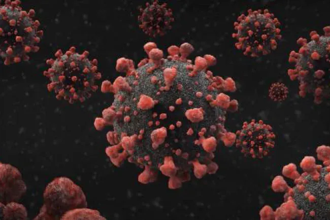 Reporta Arizona 73 fallecimientos