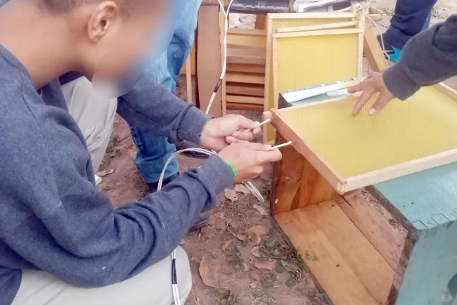 Continúan actividades ocupacionales