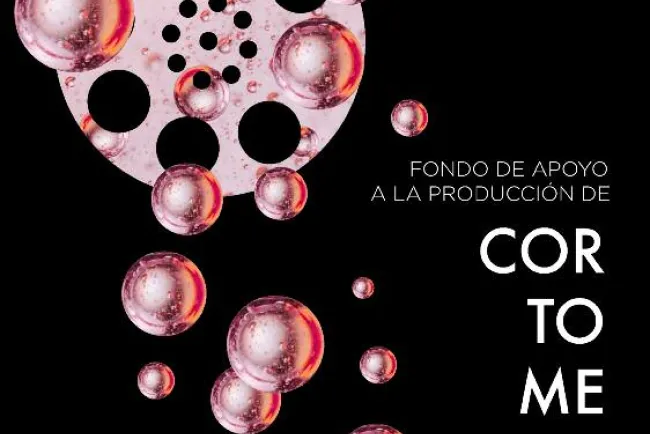 Invita ISJ participar en varias convocatorias