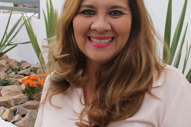 Participan ingenieros en reunión virtual