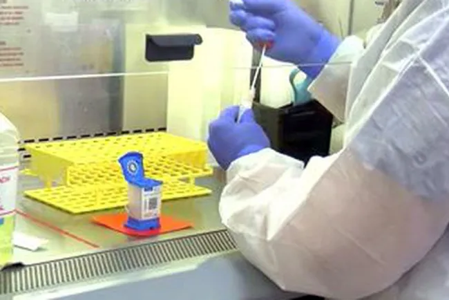 Enfrenta Arizona la pandemia