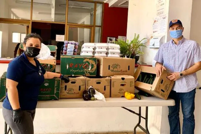 Donan empresas productos hortícolas