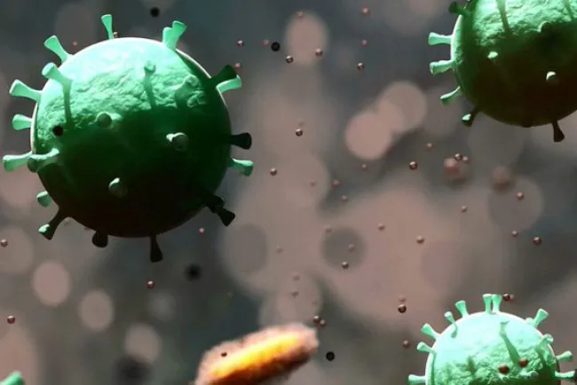 Se recuperan 21 casos positivos en el Condado