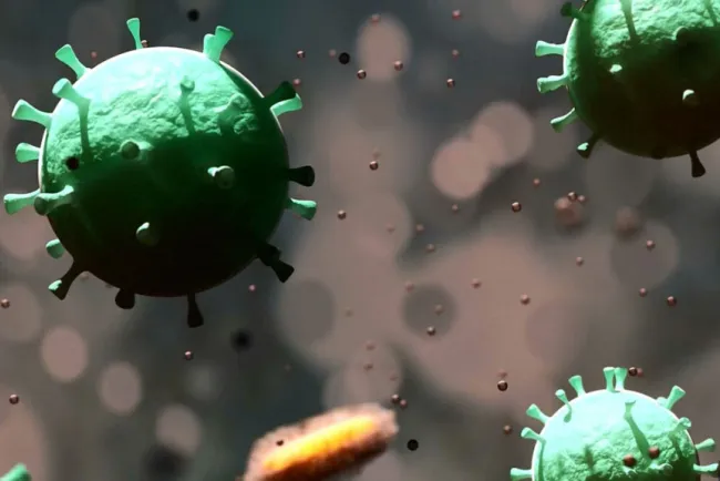 Registra Arizona 532 fallecimientos