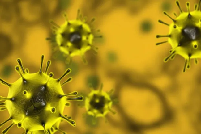 Supera Arizona las 540 muertes