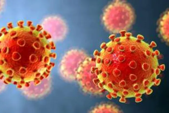 Da positivo directivo de Sidur