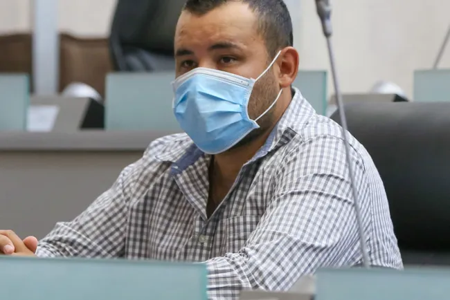 Piden que robo de abejas se tipifique como delito de abigeato