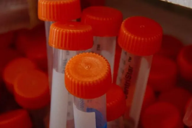 Aseguran cerca de mil pruebas falsas de Covid-19